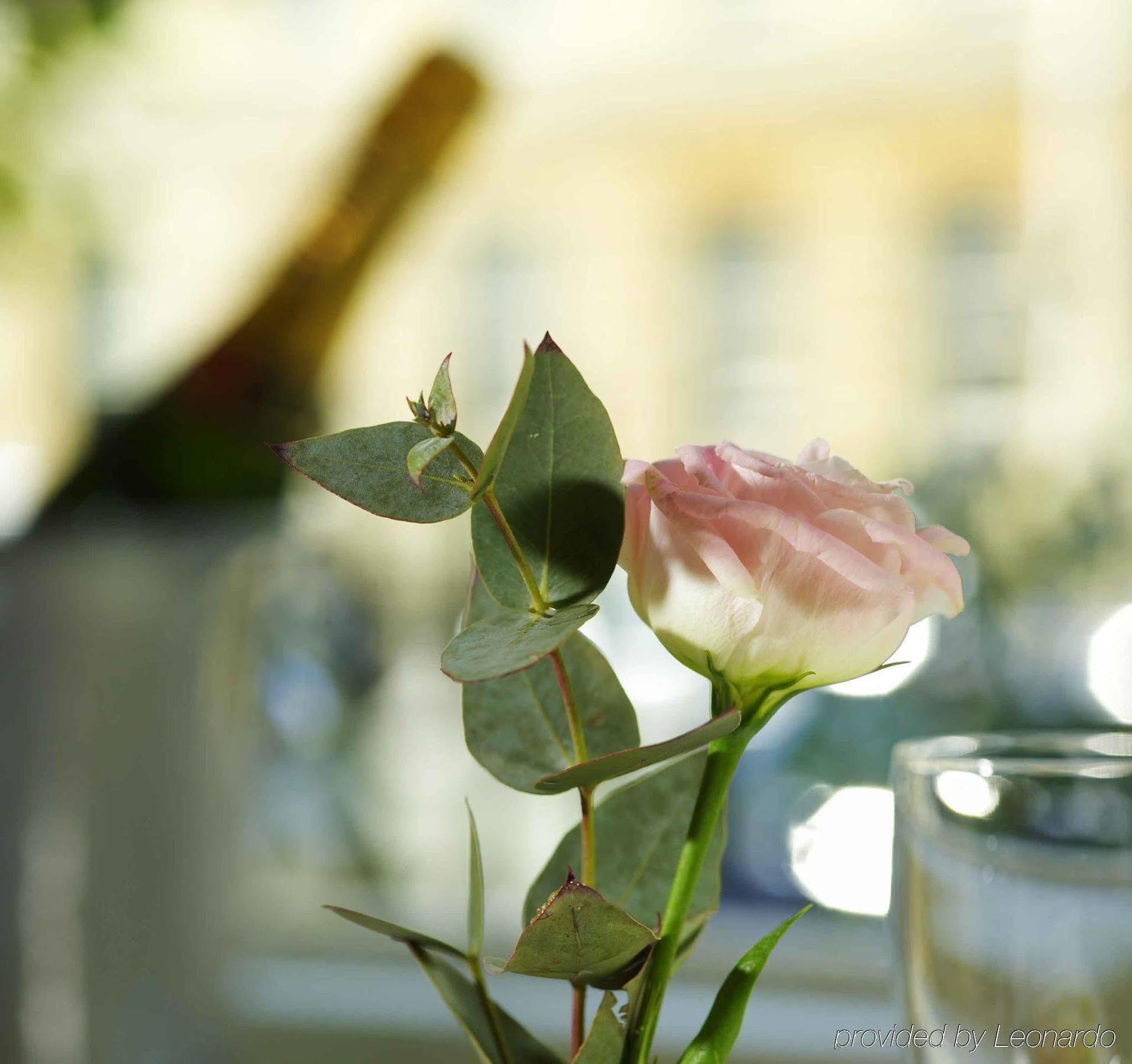 ホテル ザ ウィンザー タウンハウス バース エクステリア 写真 A rose